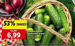 Lidl Ogórek gruntowy polska oferta