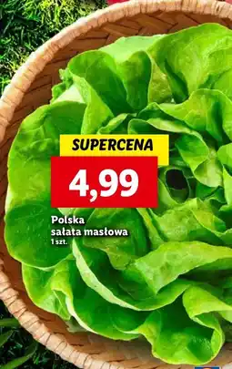 Lidl Sałata masłowa polska oferta