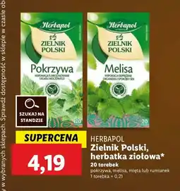 Lidl Herbatka rumianek Herbapol zielnik polski oferta