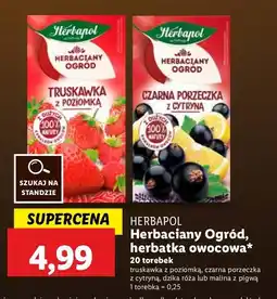Lidl Herbata malina z pigwą Herbapol herbaciany ogród oferta