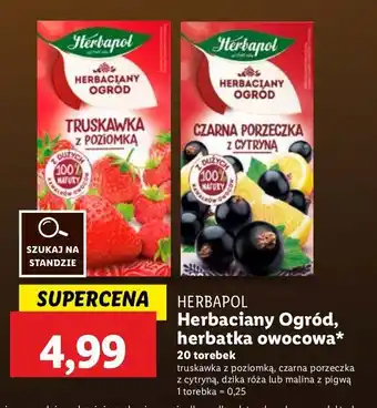 Lidl Herbata malina z pigwą Herbapol herbaciany ogród oferta