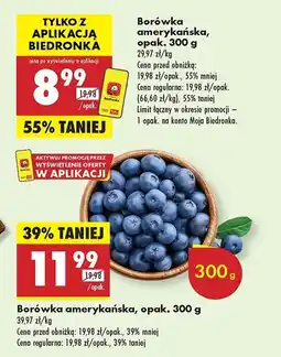 Biedronka Borówki amerykańskie oferta