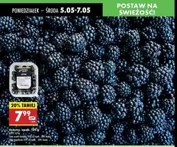 Biedronka Jeżyny oferta