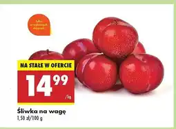 Biedronka Śliwki oferta