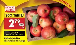 Biedronka Jabłka czerwone polskie oferta