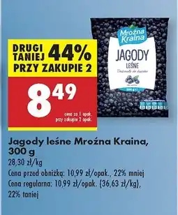 Biedronka Jagody leśne Mroźna kraina oferta