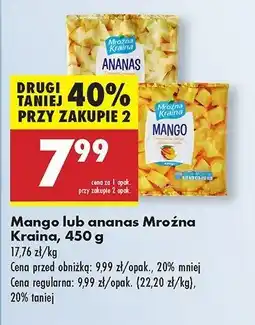 Biedronka Mango Mroźna kraina oferta