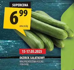 Arhelan Ogórek sałatkowy Arhelan oferta