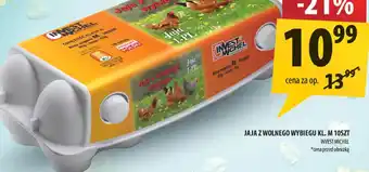 Arhelan Jajka z wolnego wybiegu kl. M 10szt Invest Mich oferta