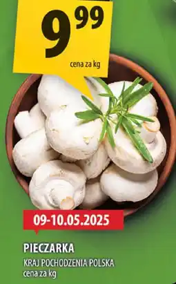Arhelan Pieczarka Arhelan oferta