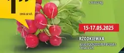 Arhelan Rzodkiewka Arhelan oferta