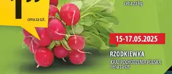 Arhelan Rzodkiewka Arhelan oferta