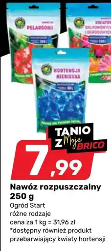 Bricomarche Nawóz oferta