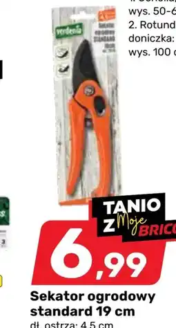 Bricomarche Sekator ogrodowy oferta