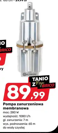 Bricomarche Pompa oferta