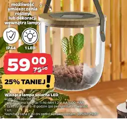 Netto Lampa solarna AA oferta