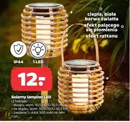 Netto Lampion Barwa oferta