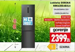 Neopunkt Lodówka Gorenje oferta