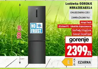 Neopunkt Lodówka Gorenje oferta