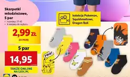 Lidl Skarpetki 27-42 oferta