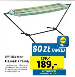 Lidl Hamak z ramą 100 x cm Livarno Home oferta