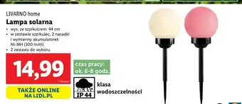 Lidl Lampa solarna 44 cm Livarno Home oferta