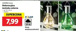 Lidl Żarówka solarna led Livarno Home oferta