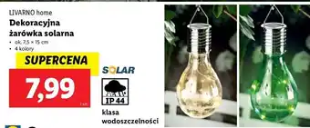 Lidl Żarówka solarna led Livarno Home oferta