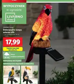 Lidl Lampa solarna led 44 cm Livarno Home oferta