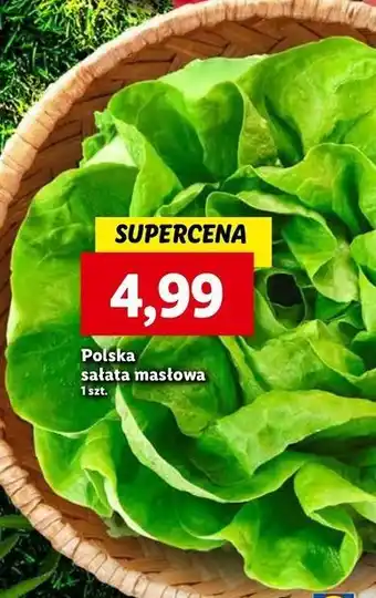Lidl Sałata masłowa polska oferta
