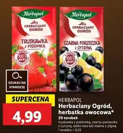 Lidl Herbata malina z pigwą Herbapol Herbaciany Ogród oferta