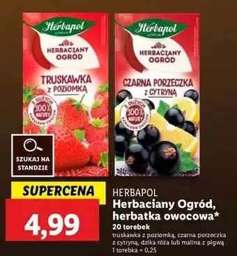 Lidl Herbata malina z pigwą Herbapol Herbaciany Ogród oferta