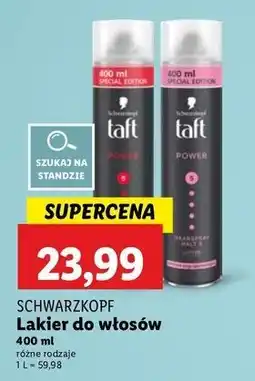 Lidl Lakier do włosów cashmere Taft Power oferta