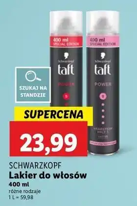Lidl Lakier do włosów cashmere Taft Power oferta
