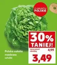 Kaufland Sałata masłowa polska oferta