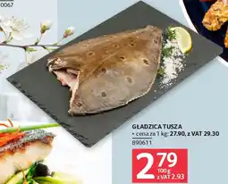 Selgros Gładzica tusza oferta