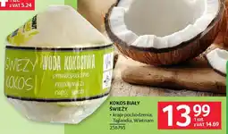 Selgros Kokos biały świeży oferta
