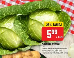 Polomarket Kapusta młoda 1 szt. POLOmarket oferta