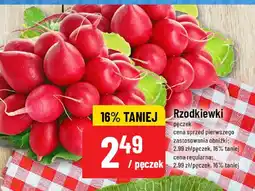 Polomarket Rzodkiewki pęczek POLOmarket oferta