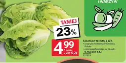 Selgros Sałata little gem oferta