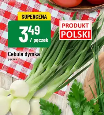 Polomarket Cebula dymka pęczek POLOmarket oferta