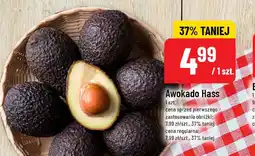 Polomarket Awokado Hass POLOmarket oferta