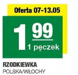 Spar Rzodkiewka Polska/Włochy 1pęczek SPAR oferta