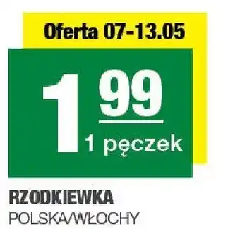 Spar Rzodkiewka Polska/Włochy 1pęczek SPAR oferta