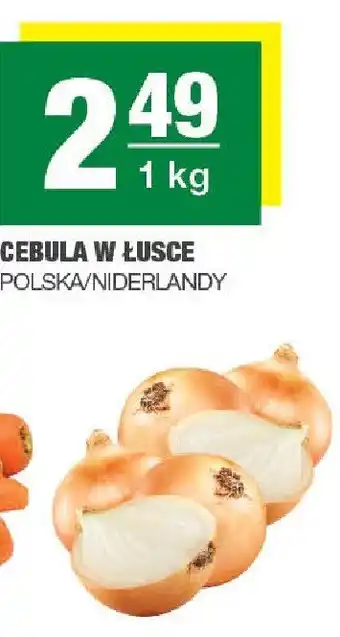 Spar Cebula w łusce Polska/Niderlandy 1kg SPAR oferta