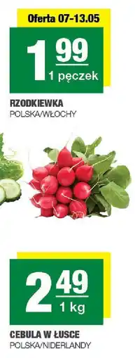 Spar Cebula w łusce Polska/Niderlandy 1kg SPAR oferta
