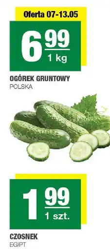 Spar Czosnek 1 szt. SPAR oferta