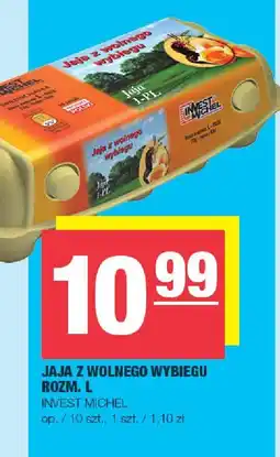 Spar Jaja z wolnego wybiegu rozmiar L 10 szt. Invest Michel oferta