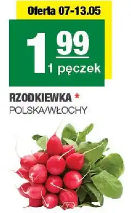 Spar Rzodkiewka 1 pęczek Polska/Włochy oferta