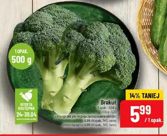 Polomarket Brokuł oferta